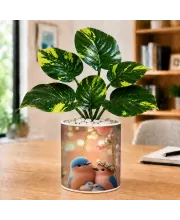 Artificial Tree Ceramic Photo Pot With White Stones 3x4 Inch (F165420)