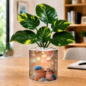 Artificial Tree Ceramic Photo Pot With White Stones 3x4 Inch (F165420) Artificial Tree Ceramic Photo Pot With White Stones 3x4 Inch (F165420)