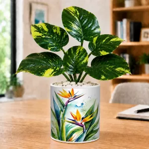 Artificial Tree Ceramic Photo Pot With White Stones 3x4 Inch (F165422) Artificial Tree Ceramic Photo Pot With White Stones 3x4 Inch (F165422)