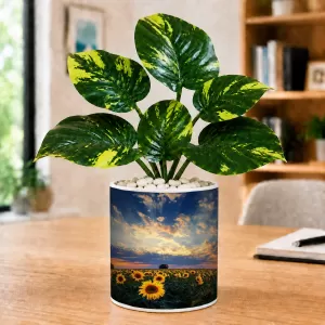 Artificial Tree Ceramic Photo Pot With White Stones 3x4 Inch (F165428) Artificial Tree Ceramic Photo Pot With White Stones 3x4 Inch (F165428)