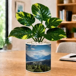 Artificial Tree Ceramic Photo Pot With White Stones 3x4 Inch (F165436) Artificial Tree Ceramic Photo Pot With White Stones 3x4 Inch (F165436)