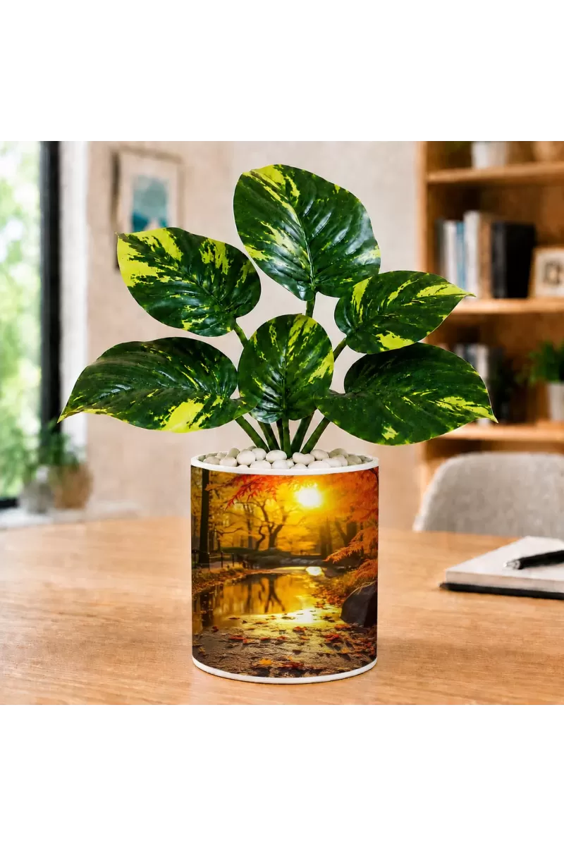 Artificial Tree Ceramic Photo Pot With White Stones 3x4 Inch (F165439)