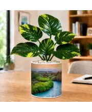 Artificial Tree Ceramic Photo Pot With White Stones 3x4 Inch (F165442)