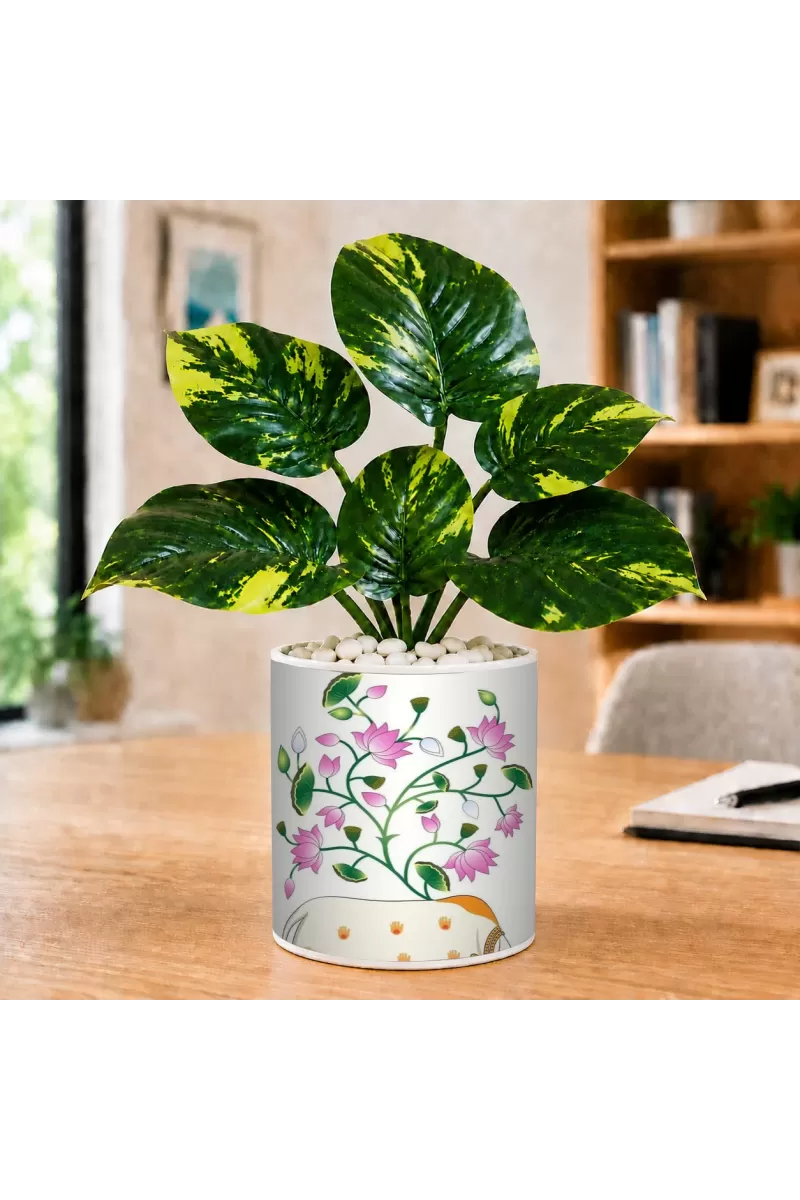 Artificial Tree Ceramic Photo Pot With White Stones 3x4 Inch (F165447)