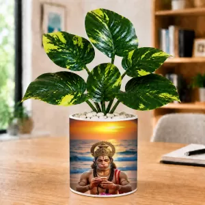 Artificial Tree Ceramic Photo Pot With White Stones 3x4 Inch (F165448) Artificial Tree Ceramic Photo Pot With White Stones 3x4 Inch (F165448)