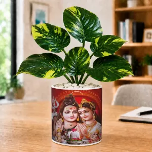 Artificial Tree Ceramic Photo Pot With White Stones 3x4 Inch (F165453) Artificial Tree Ceramic Photo Pot With White Stones 3x4 Inch (F165453)