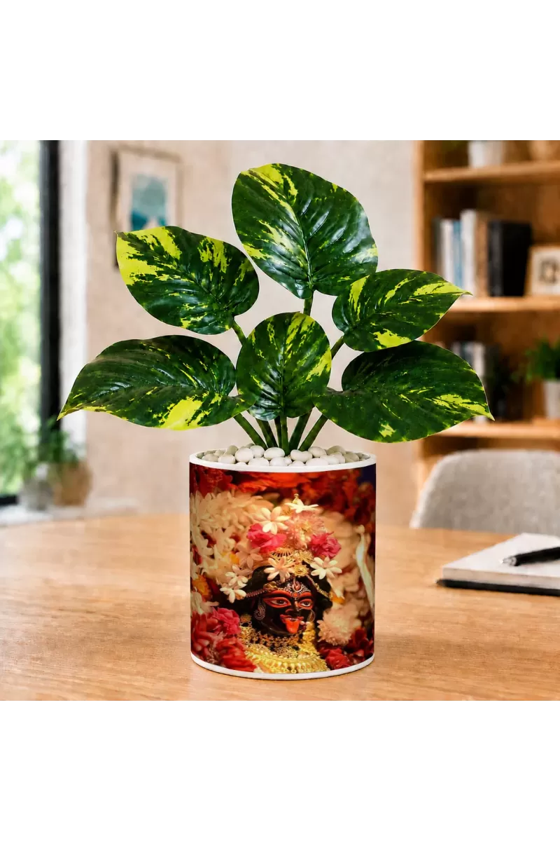 Artificial Tree Ceramic Photo Pot With White Stones 3x4 Inch (F165455)