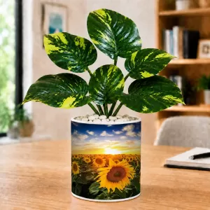 Artificial Tree Ceramic Photo Pot With White Stones 3x4 Inch (F165460) Artificial Tree Ceramic Photo Pot With White Stones 3x4 Inch (F165460)
