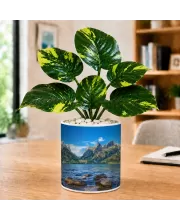 Artificial Tree Ceramic Photo Pot With White Stones 3x4 Inch (F165467)
