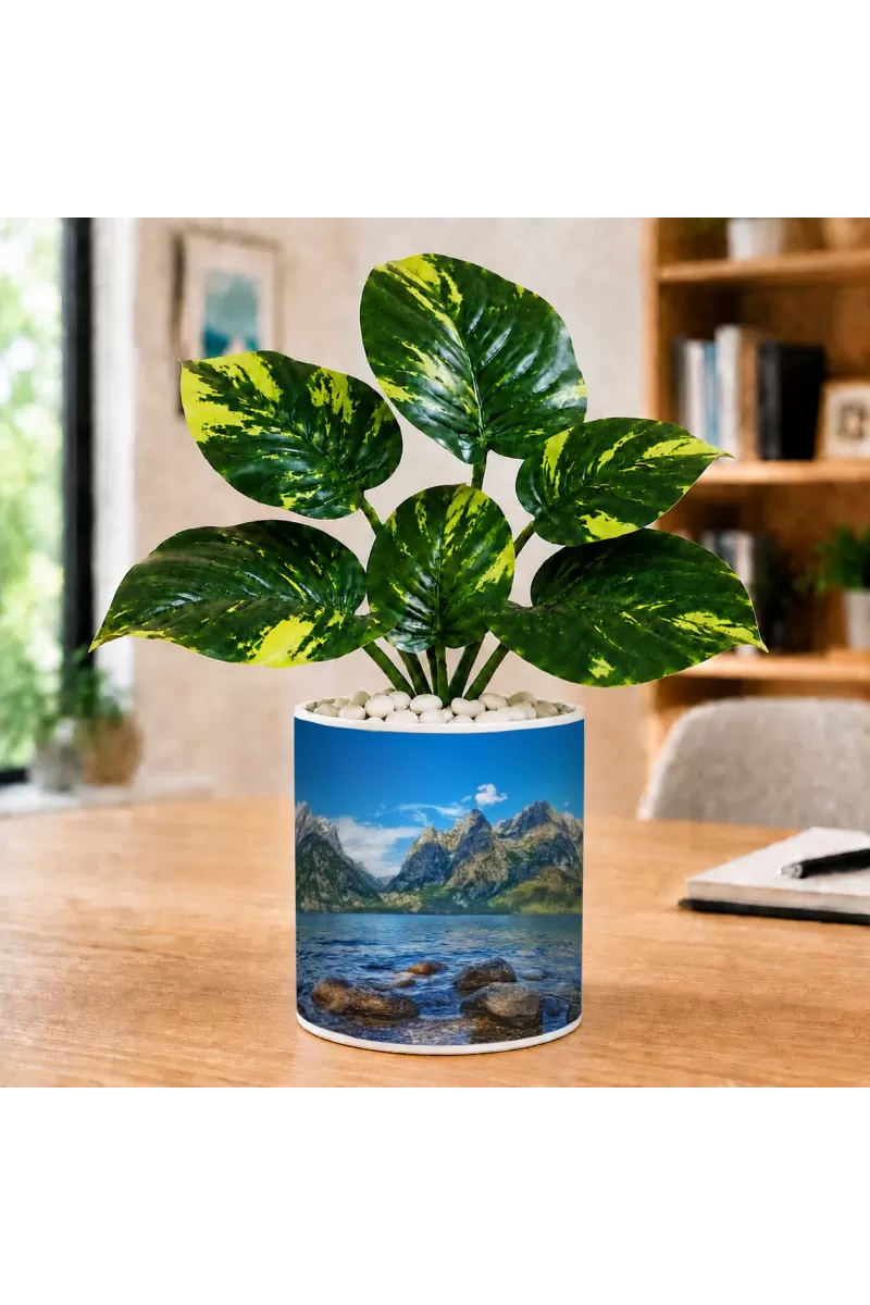 Artificial Tree Ceramic Photo Pot With White Stones 3x4 Inch (F165467)