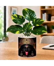 Artificial Tree Ceramic Photo Pot With White Stones 3x4 Inch (F165469)