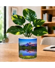 Artificial Tree Ceramic Photo Pot With White Stones 3x4 Inch (F165470)