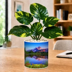 Artificial Tree Ceramic Photo Pot With White Stones 3x4 Inch (F165470) Artificial Tree Ceramic Photo Pot With White Stones 3x4 Inch (F165470)