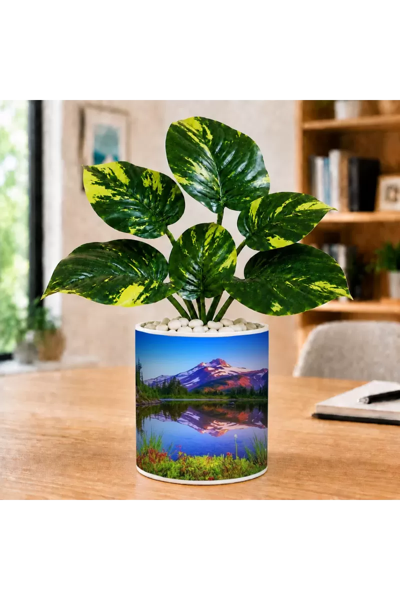 Artificial Tree Ceramic Photo Pot With White Stones 3x4 Inch (F165470)