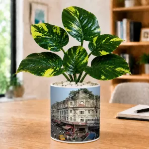 Artificial Tree Ceramic Photo Pot With White Stones 3x4 Inch (F165475) Artificial Tree Ceramic Photo Pot With White Stones 3x4 Inch (F165475)
