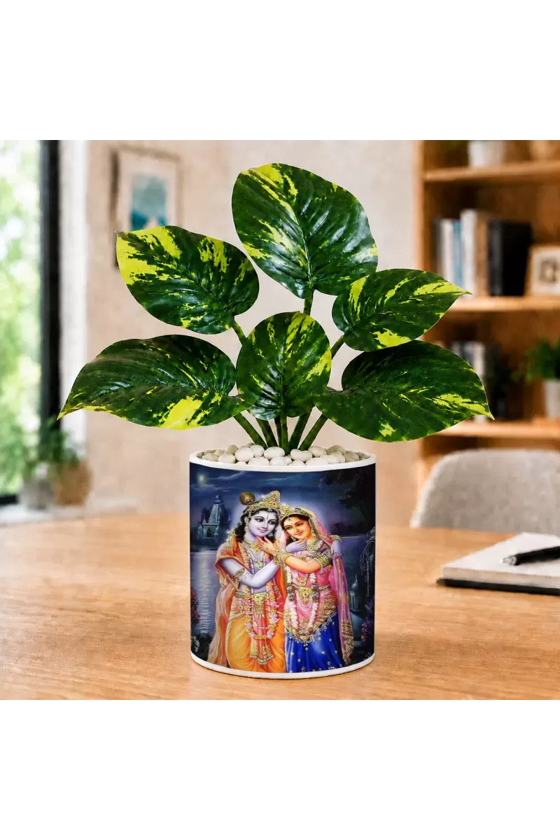 Artificial Tree Ceramic Photo Pot With White Stones 3x4 Inch (F165478)