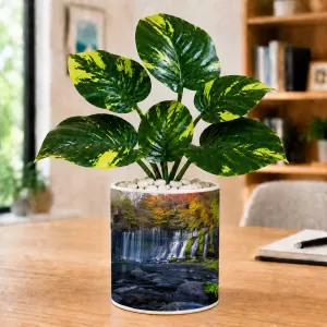 Artificial Tree Ceramic Photo Pot With White Stones 3x4 Inch (F165481) Artificial Tree Ceramic Photo Pot With White Stones 3x4 Inch (F165481)
