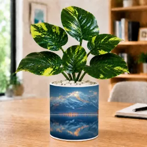 Artificial Tree Ceramic Photo Pot With White Stones 3x4 Inch (F165482) Artificial Tree Ceramic Photo Pot With White Stones 3x4 Inch (F165482)