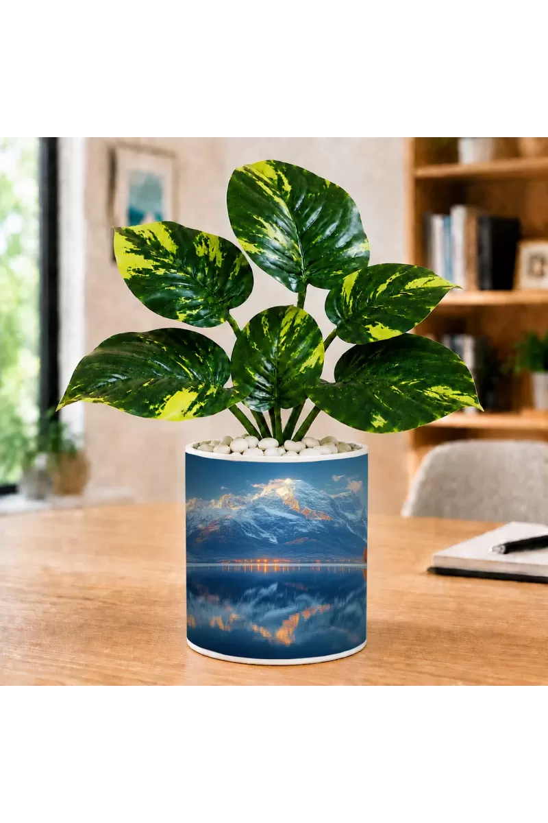 Artificial Tree Ceramic Photo Pot With White Stones 3x4 Inch (F165482)