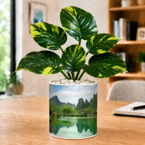 Artificial Tree Ceramic Photo Pot With White Stones 3x4 Inch (F165483) Artificial Tree Ceramic Photo Pot With White Stones 3x4 Inch (F165483)