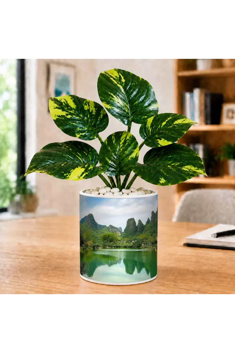 Artificial Tree Ceramic Photo Pot With White Stones 3x4 Inch (F165483)