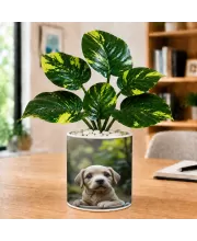 Artificial Tree Ceramic Photo Pot With White Stones 3x4 Inch (F165495)