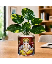 Artificial Tree Ceramic Photo Pot With White Stones 3x4 Inch (F165508)