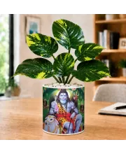 Artificial Tree Ceramic Photo Pot With White Stones 3x4 Inch (F165511)