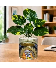 Artificial Tree Ceramic Photo Pot With White Stones 3x4 Inch (F165514)