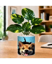 Artificial Tree Ceramic Photo Pot With White Stones 3x4 Inch (F165519)