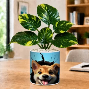 Artificial Tree Ceramic Photo Pot With White Stones 3x4 Inch (F165519) Artificial Tree Ceramic Photo Pot With White Stones 3x4 Inch (F165519)
