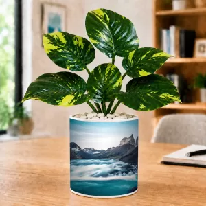 Artificial Tree Ceramic Photo Pot With White Stones 3x4 Inch (F165522) Artificial Tree Ceramic Photo Pot With White Stones 3x4 Inch (F165522)