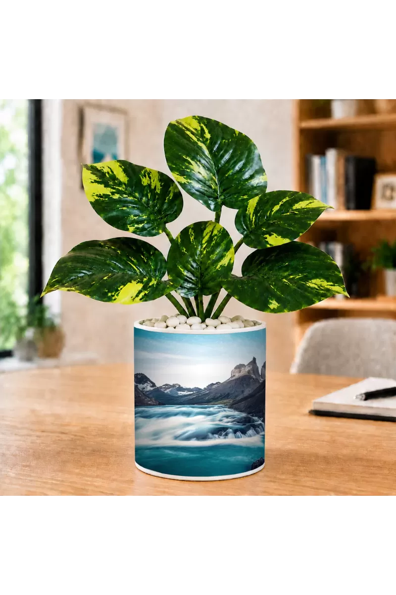 Artificial Tree Ceramic Photo Pot With White Stones 3x4 Inch (F165522)