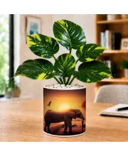 Artificial Tree Ceramic Photo Pot With White Stones 3x4 Inch (F165525)