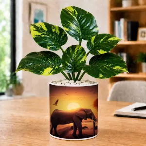 Artificial Tree Ceramic Photo Pot With White Stones 3x4 Inch (F165525) Artificial Tree Ceramic Photo Pot With White Stones 3x4 Inch (F165525)