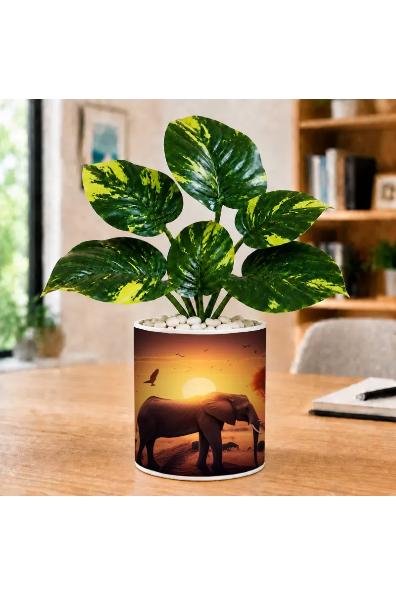 Artificial Tree Ceramic Photo Pot With White Stones 3x4 Inch (F165525)