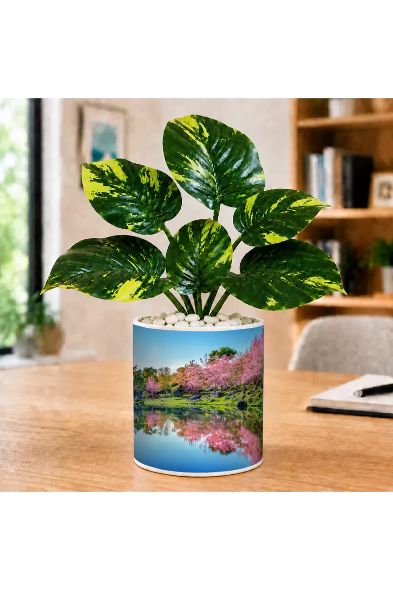 Artificial Tree Ceramic Photo Pot With White Stones 3x4 Inch (F165532)