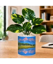 Artificial Tree Ceramic Photo Pot With White Stones 3x4 Inch (F165533)