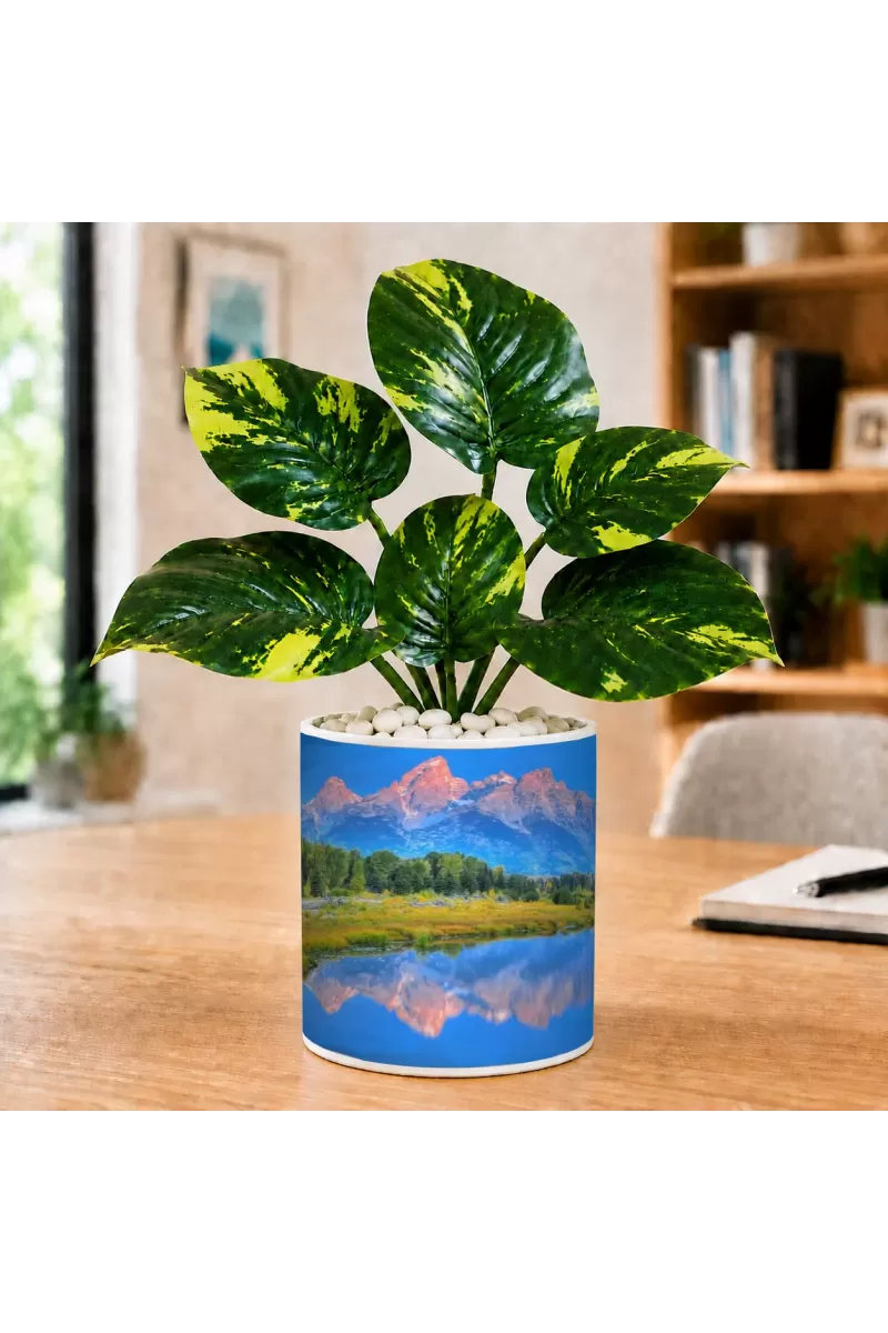 Artificial Tree Ceramic Photo Pot With White Stones 3x4 Inch (F165533)
