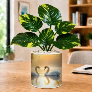Artificial Tree Ceramic Photo Pot With White Stones 3x4 Inch (F165560) Artificial Tree Ceramic Photo Pot With White Stones 3x4 Inch (F165560)