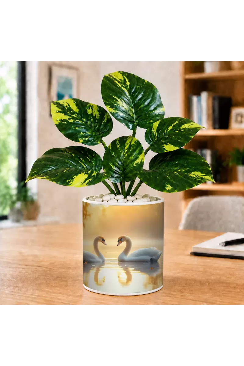 Artificial Tree Ceramic Photo Pot With White Stones 3x4 Inch (F165560)