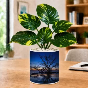 Artificial Tree Ceramic Photo Pot With White Stones 3x4 Inch (F165561) Artificial Tree Ceramic Photo Pot With White Stones 3x4 Inch (F165561)