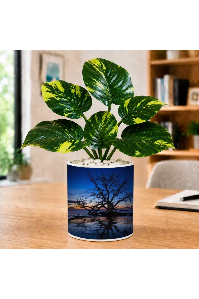 Artificial Tree Ceramic Photo Pot With White Stones 3x4 Inch (F165561)