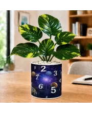 Artificial Tree Ceramic Photo Pot With White Stones 3x4 Inch (F165562)