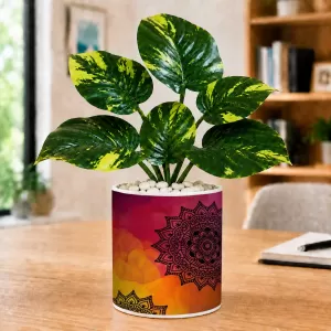 Artificial Tree Ceramic Photo Pot With White Stones 3x4 Inch (F165566) Artificial Tree Ceramic Photo Pot With White Stones 3x4 Inch (F165566)