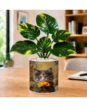 Artificial Tree Ceramic Photo Pot With White Stones 3x4 Inch (F165567)