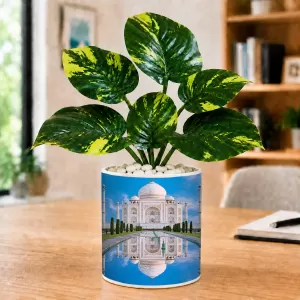 Artificial Tree Ceramic Photo Pot With White Stones 3x4 Inch (F165568) Artificial Tree Ceramic Photo Pot With White Stones 3x4 Inch (F165568)