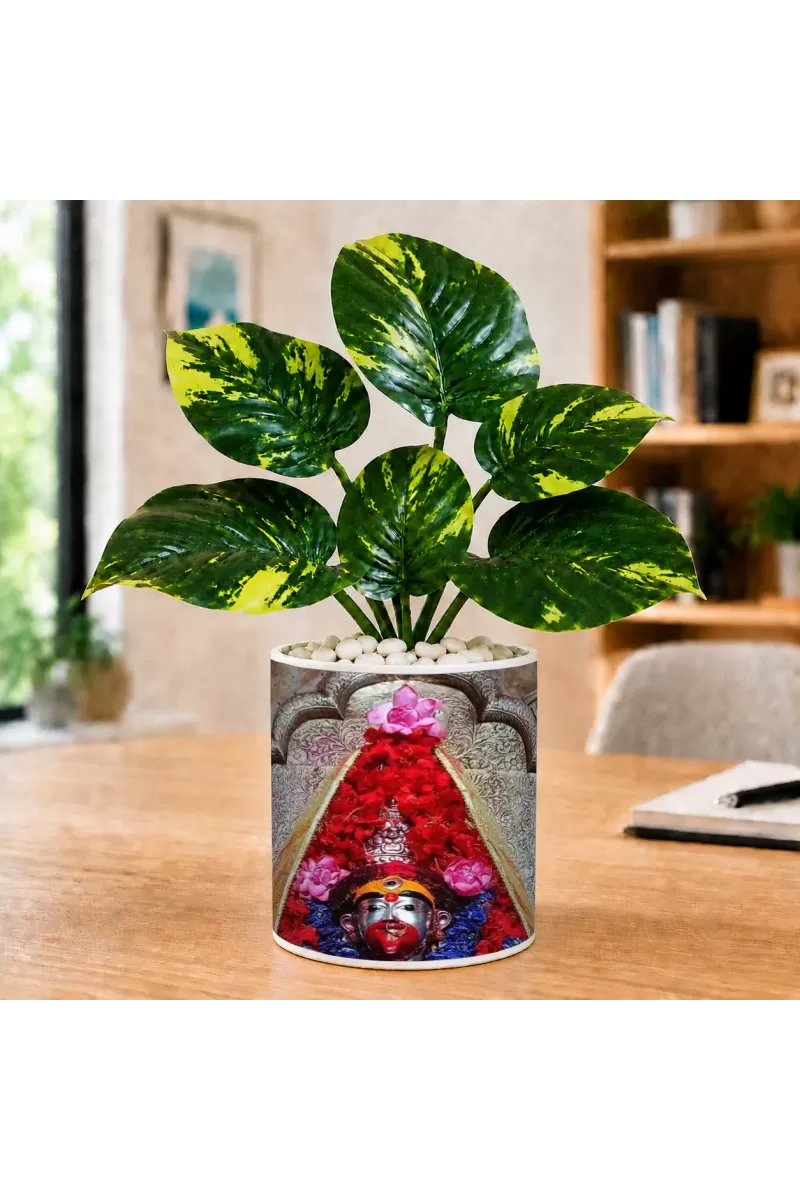 Artificial Tree Ceramic Photo Pot With White Stones 3x4 Inch (F165570)