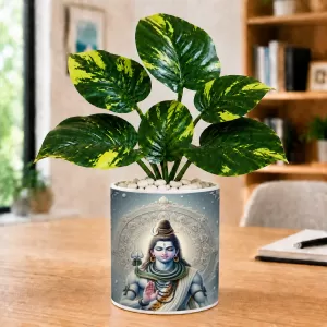 Artificial Tree Ceramic Photo Pot With White Stones 3x4 Inch (F165586) Artificial Tree Ceramic Photo Pot With White Stones 3x4 Inch (F165586)