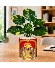 Artificial Tree Ceramic Photo Pot With White Stones 3x4 Inch (F165588)
